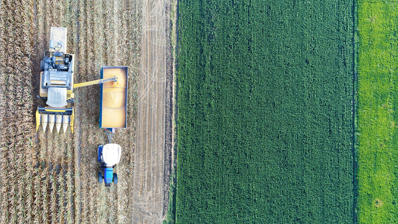 Megatendencias: ¿Cómo será la comida del futuro ¿Qué comeremos dentro de veinte años?