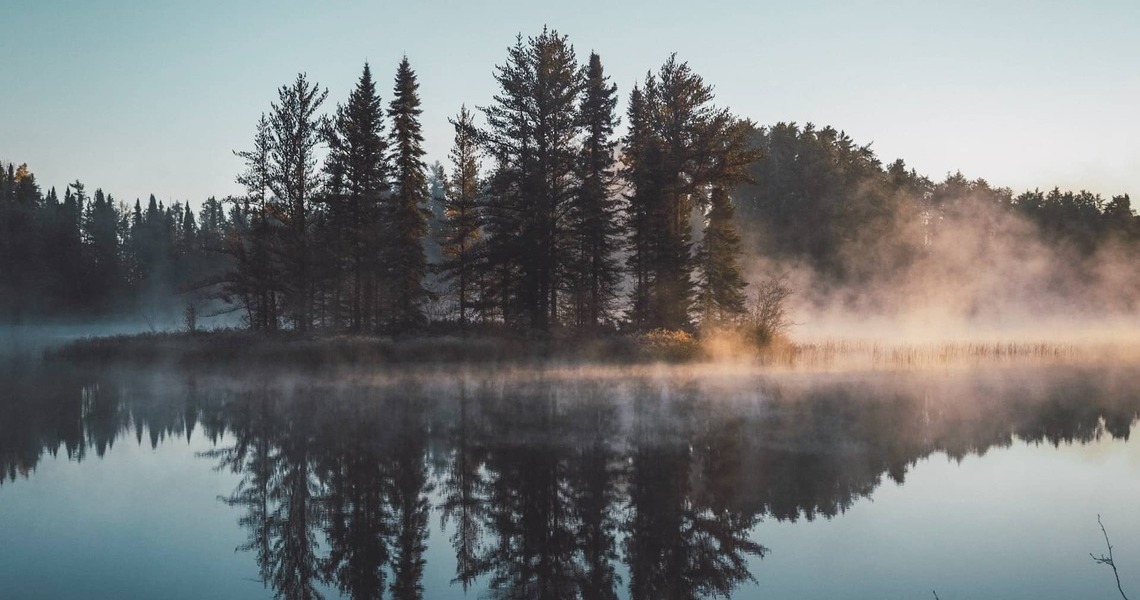 Megatendencias: Greenium, los bonos verdes tienen prima