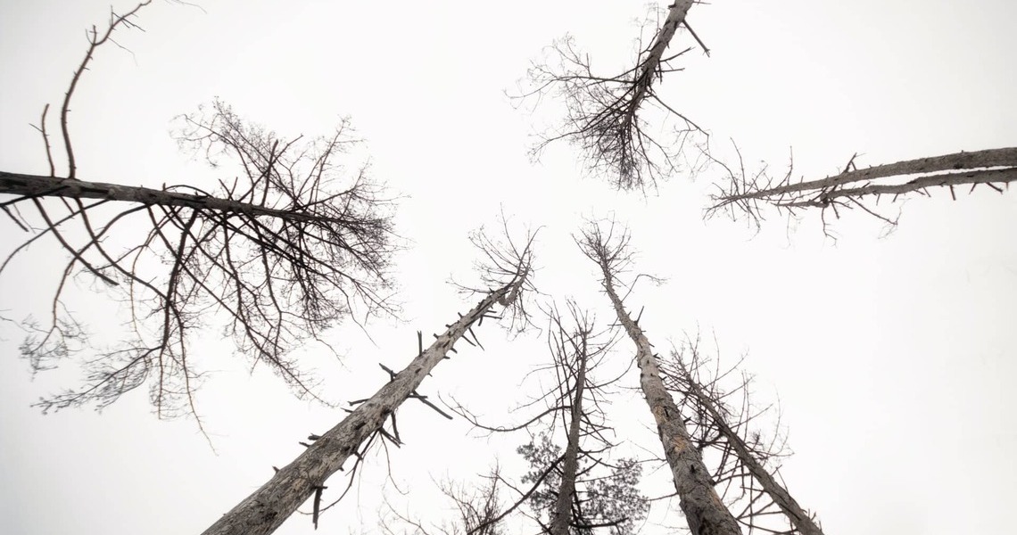 Entorno global: Los desastres más costosos para la industria aseguradora mundial