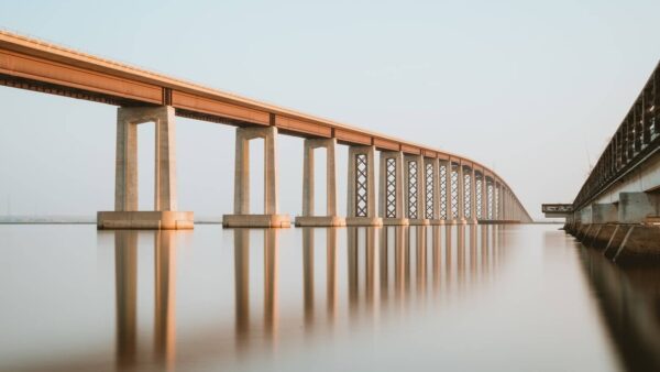 compañías beneficiadas por la adversidad