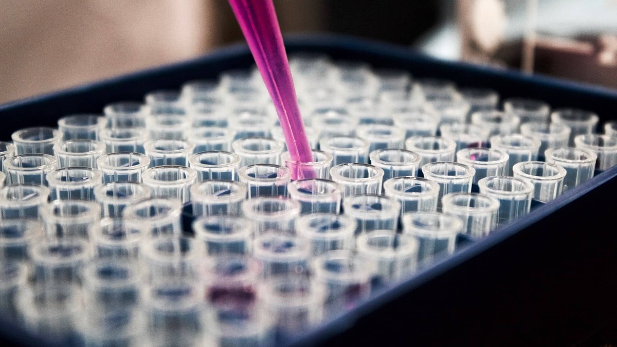 Cómo invertir en biotecnología y en empresas del sector