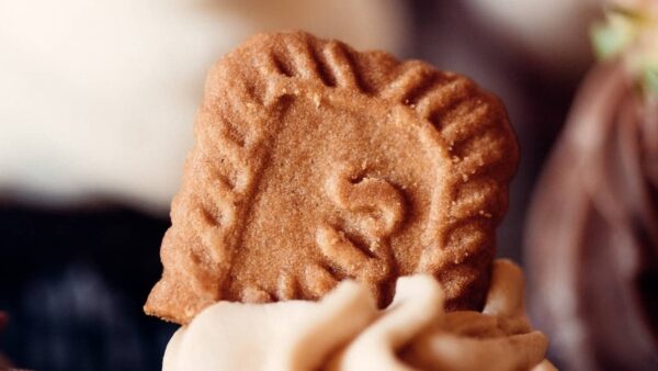 Análisis técnico Lotus Bakery