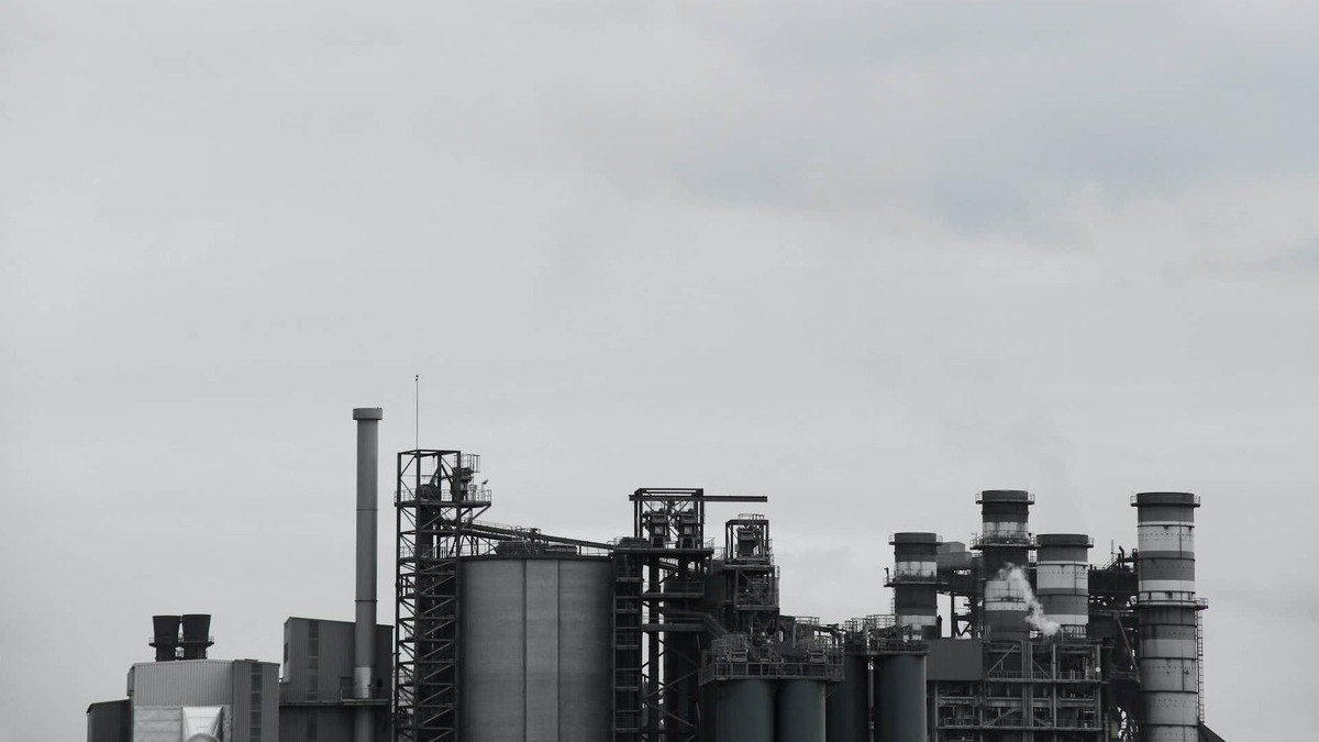 Estos son los sectores más impactados por los precios del combustible