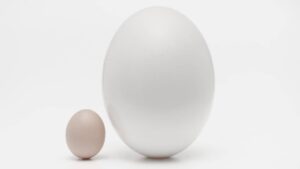 bancos mas grandes del mundo