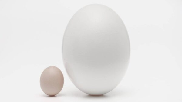 bancos mas grandes del mundo