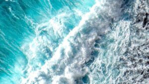 proteger nuestros mares y océanos