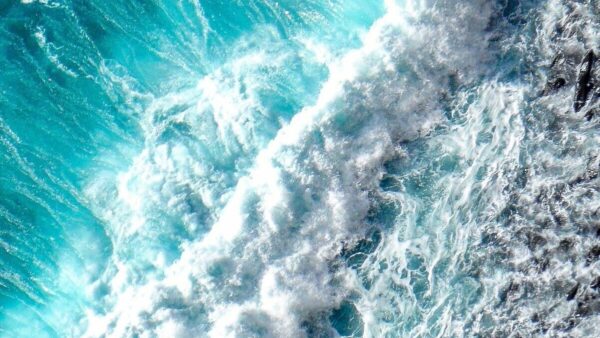 proteger nuestros mares y océanos