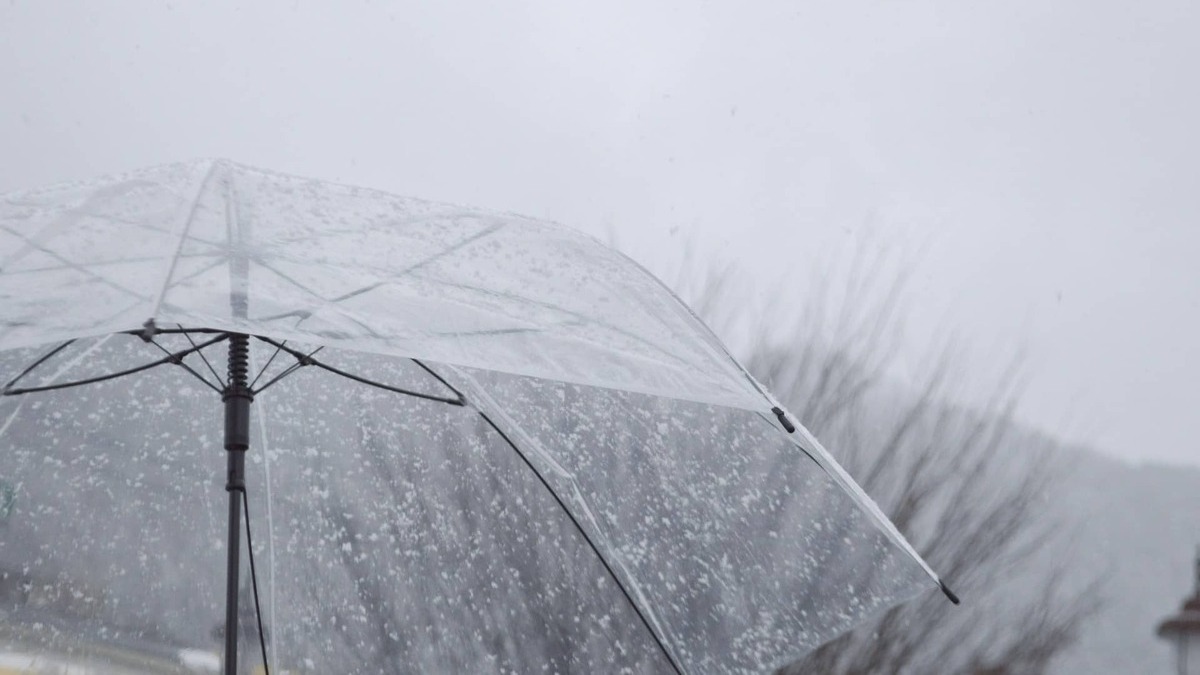 ¿Qué sentido tiene invertir en fondos monetarios cuando los tipos de interés son negativos?