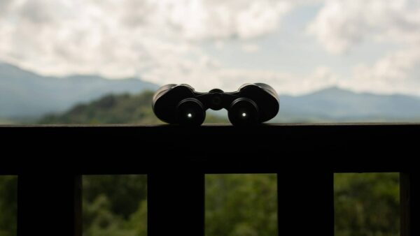 fondos destacados de FundsPeople 2024