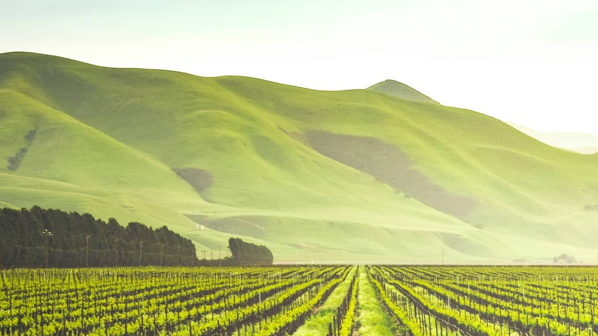 ¿Qué es Stewardship y cómo está relacionado con el desarrollo de la inversión sostenible?