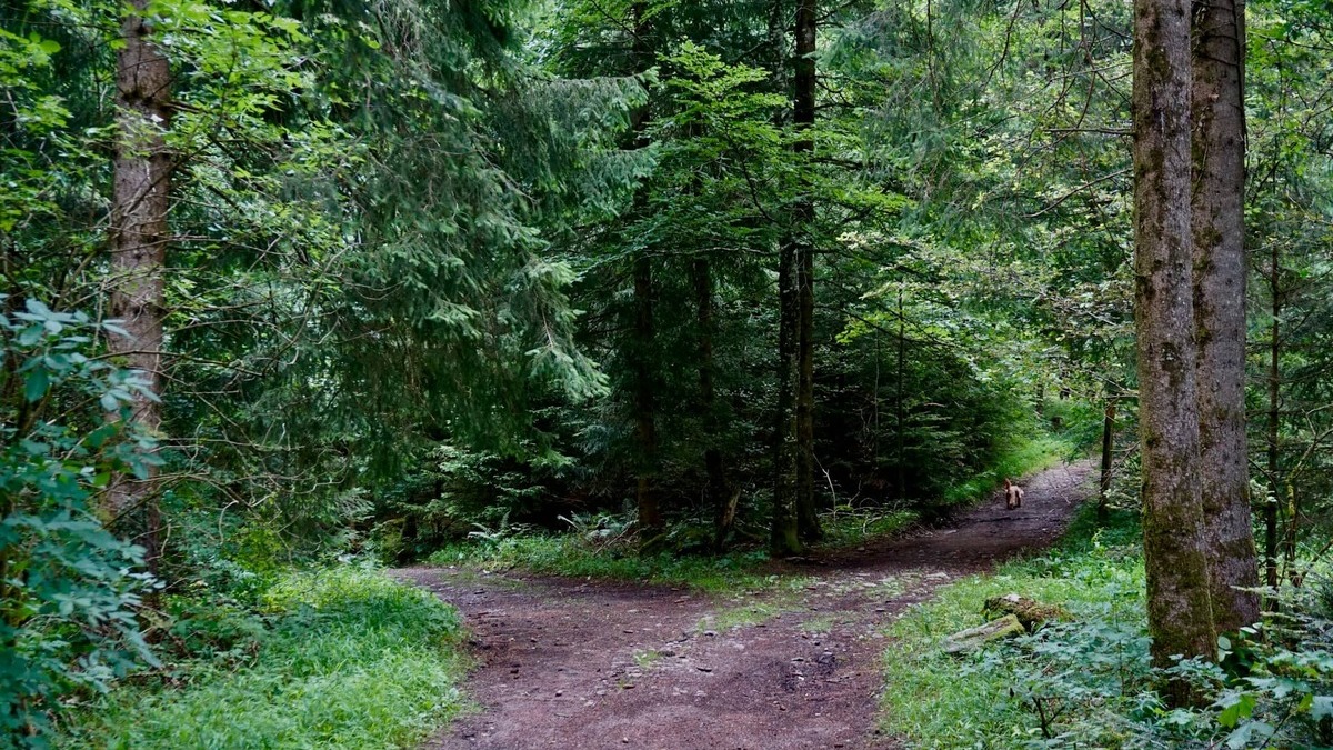 Valor absoluto y relativo al invertir